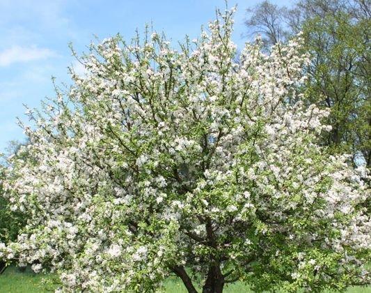 Продажа дома, 70м <sup>2</sup>, 600 сот., Краснодар, 03К-001,  1-й километр