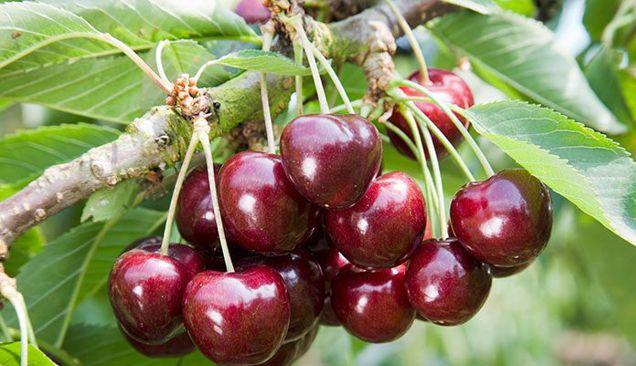 Продажа дома, 70м <sup>2</sup>, 600 сот., Краснодар, 03К-001,  1-й километр