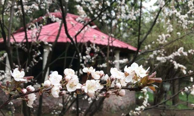 Продажа дома, 236м <sup>2</sup>, 680 сот., Краснодар, Пинская улица,  27