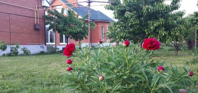 Продажа дома, 154м <sup>2</sup>, 450 сот., Краснодар, Листопадный переулок,  34