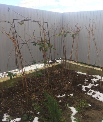 Продажа дома, 77м <sup>2</sup>, 300 сот., Краснодар, 4-й проезд Куликова Поля,  10/5