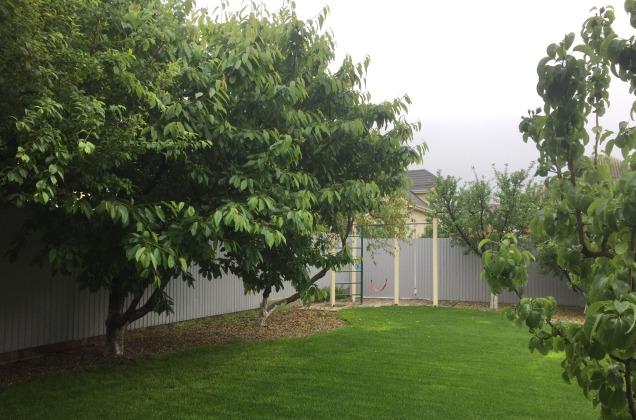 Продажа дома, 270м <sup>2</sup>, 800 сот., Краснодар, Жемчужная улица,  14