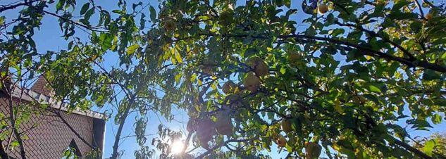 Продажа дома, 145м <sup>2</sup>, 500 сот., Краснодар, Витебская улица,  34