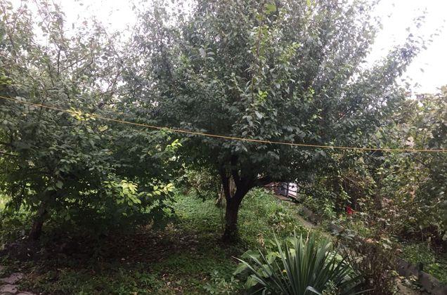 Продажа дома, 68м <sup>2</sup>, 600 сот., Краснодар, Тополиная улица,  340