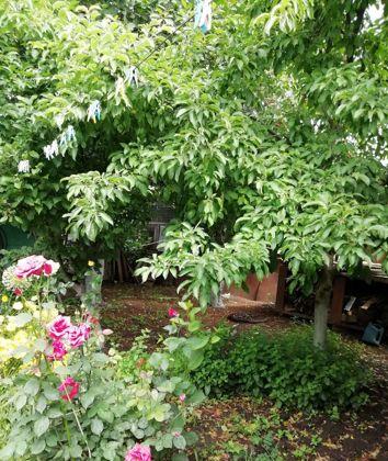 Продажа дома, 57м <sup>2</sup>, 600 сот., Краснодар, 2-я Урожайная улица,  7