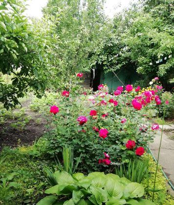 Продажа дома, 57м <sup>2</sup>, 600 сот., Краснодар, 2-я Урожайная улица,  7