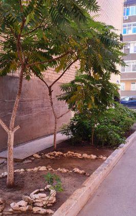 Продажа 1-комнатной квартиры, Краснодар, улица имени Мусоргского М.П.,  6/1