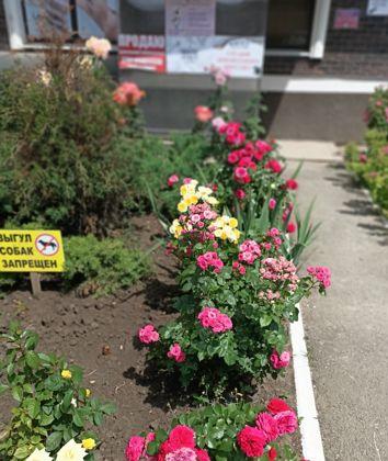 Продажа 1-комнатной квартиры, Краснодар, улица Петра Метальникова,  28