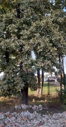 Продажа дома, 140м <sup>2</sup>, 610 сот., Краснодар, Зелёная улица,  76