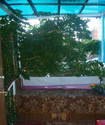 Продажа 2-комнатной квартиры, Краснодар, улица Коммунаров,  110