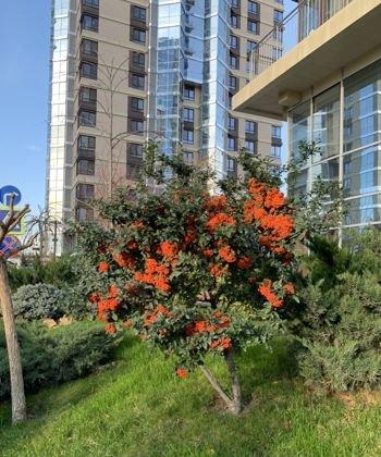 Продажа 2-комнатной квартиры, Краснодар, Совхозная улица,  1к3