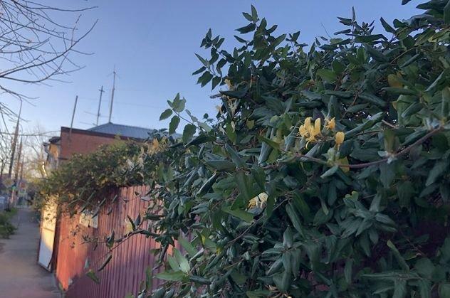 Продажа 1-комнатной квартиры, Краснодар, Красная улица,  18/3