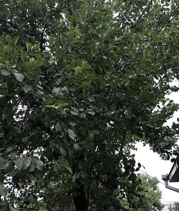 Продажа 1-комнатной квартиры, Краснодар, Красная улица,  18/3