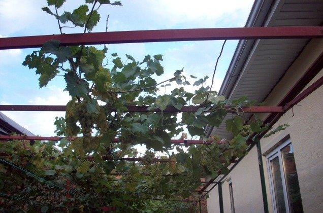 Продажа дома, 66м <sup>2</sup>, 400 сот., Краснодар, улица Кирилла Россинского,  34