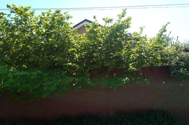 Продажа дома, 70м <sup>2</sup>, 400 сот., Краснодар, Солнечная улица,  34