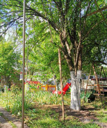 Продажа дома, 128м <sup>2</sup>, 450 сот., Краснодар, Вишнёвая улица,  167