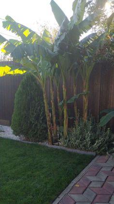 Продажа дома, 144м <sup>2</sup>, 600 сот., Краснодар, Майская улица,  108