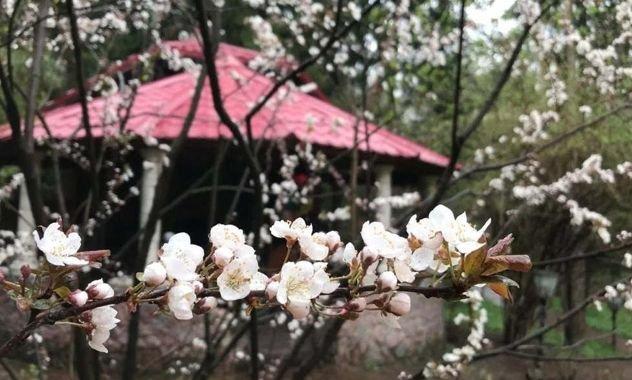 Продажа дома, 236м <sup>2</sup>, 680 сот., Краснодар, Пинская улица,  27