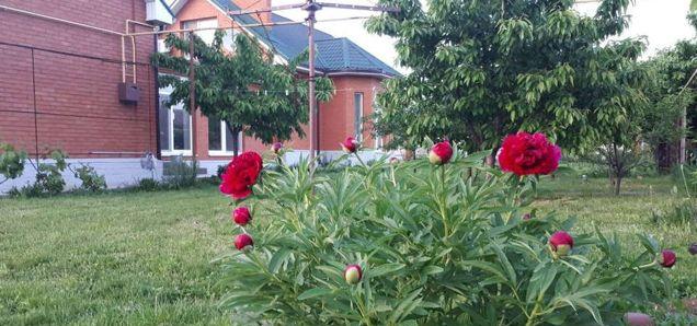 Продажа дома, 154м <sup>2</sup>, 450 сот., Краснодар, Листопадный переулок,  34