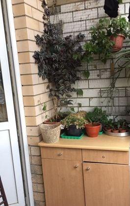 Продажа 1-комнатной квартиры, Краснодар, Парижская улица,  5/1