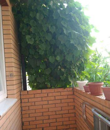 Продажа 2-комнатной квартиры, Краснодар, улица имени Сергея Есенина,  151