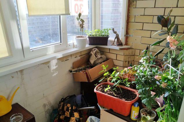 Продажа 1-комнатной квартиры, Краснодар, улица Евгении Жигуленко,  2Б