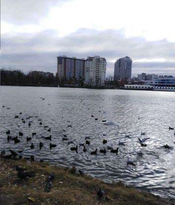 Продажа 2-комнатной квартиры, Краснодар, Карасунская набережная,  99