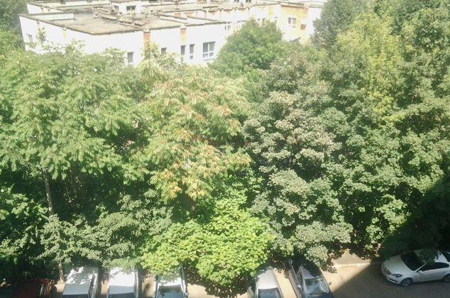 Продажа 1-комнатной квартиры, Краснодар, улица имени 40-летия Победы,  63