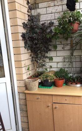 Продажа 1-комнатной квартиры, Краснодар, Парижская улица,  5/1