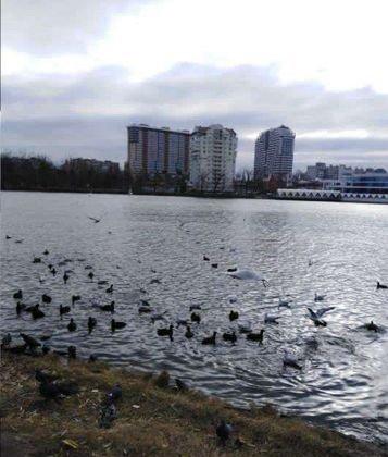 Продажа 2-комнатной квартиры, Краснодар, Карасунская набережная,  99