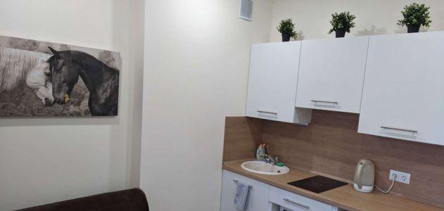 Продажа 1-комнатной квартиры, Краснодар, Московская улица,  118к2