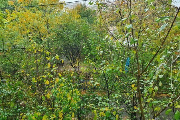 Продажа 3-комнатной квартиры, Краснодар, Платановый бульвар,  13