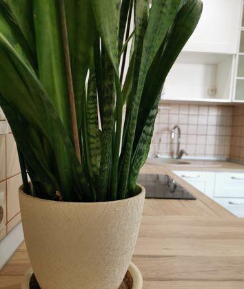 Продажа 2-комнатной квартиры, Краснодар, улица им. Героя Сарабеева В.И.,  7