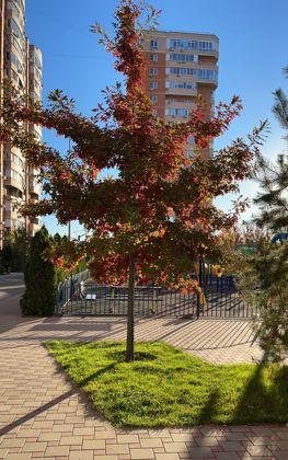 Продажа 2-комнатной квартиры, Краснодар, улица Симиренко,  71к2