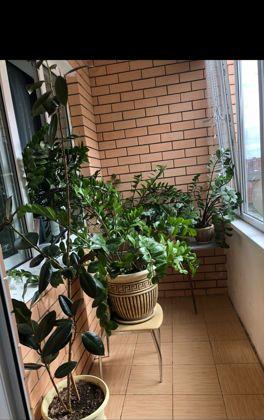 Продажа 2-комнатной квартиры, Краснодар, улица Рахманинова,  5