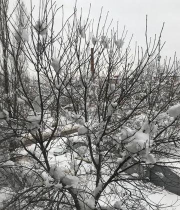 Продажа 2-комнатной квартиры, Краснодар, Темрюкская улица,  69