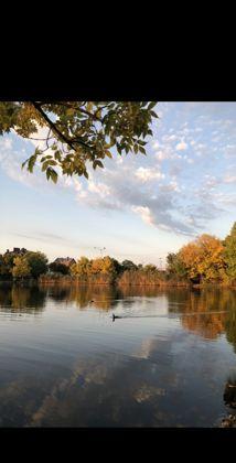 Продажа 1-комнатной квартиры, Краснодар, улица Радио,  4