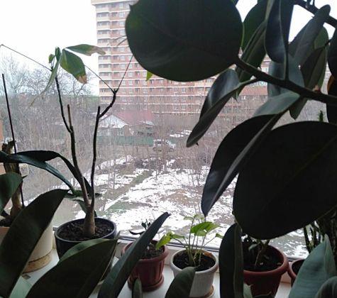 Продажа 1-комнатной квартиры, Краснодар, Волховская улица,  12