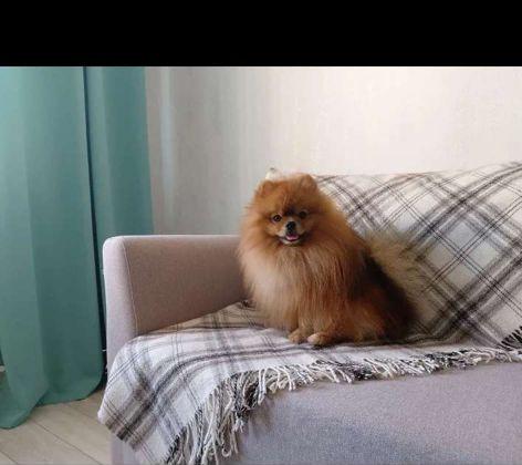 Продажа 1-комнатной квартиры, Краснодар, улица имени Героя Георгия Бочарникова,  8