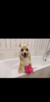 Продажа 1-комнатной квартиры, Краснодар, улица имени Героя Георгия Бочарникова,  8