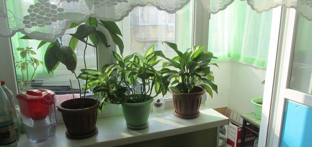 Продажа 2-комнатной квартиры, Краснодар, улица имени Сергея Есенина,  110/1