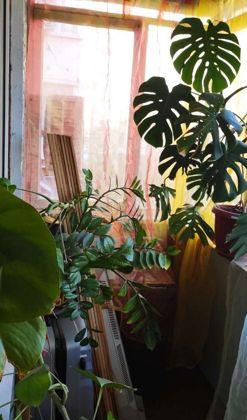 Продажа 1-комнатной квартиры, Краснодар, Платановый бульвар,  13