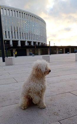 Продажа 2-комнатной квартиры, Краснодар, улица Жлобы,  139